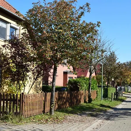 Encanto Потсдам