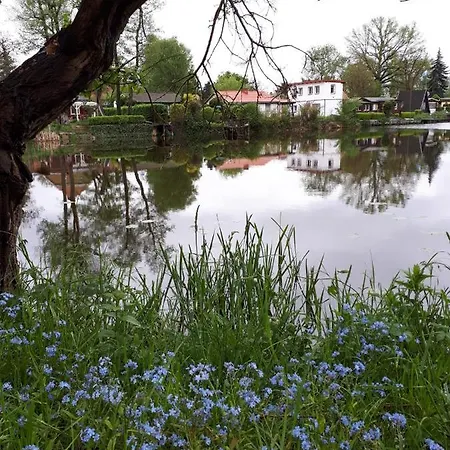 Encanto * Potsdam
