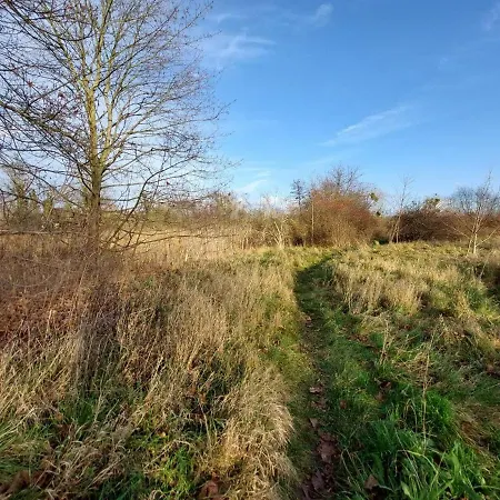 Encanto بوتسدام