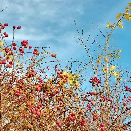 Encanto Apartment Potsdam