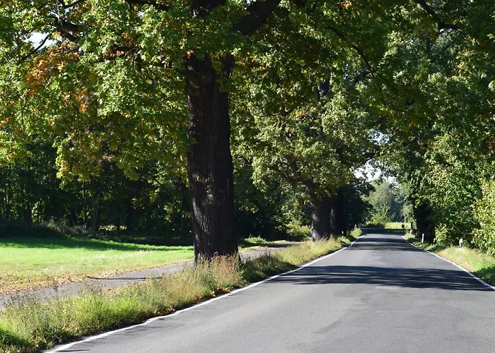 Encanto Apartamento Potsdam