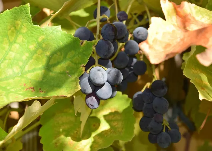 Encanto Apartamento *