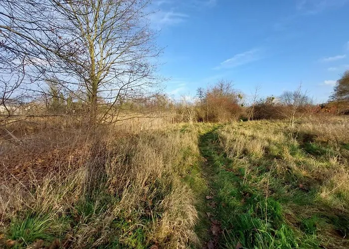 Encanto بوتسدام