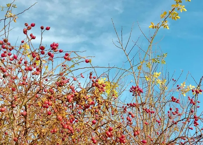 Encanto Apartamento Potsdam