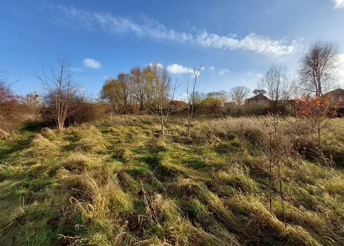 Encanto بوتسدام